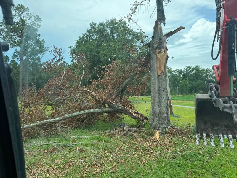 Land Clearing