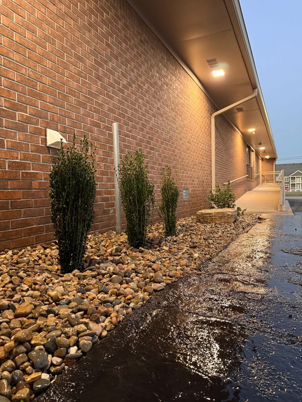 Plant & Shrub Installations