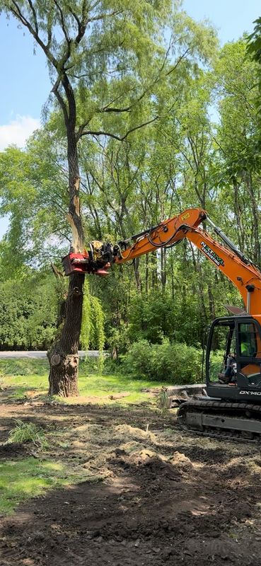 Land clearing