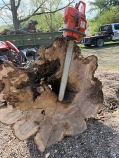 Stump Removal