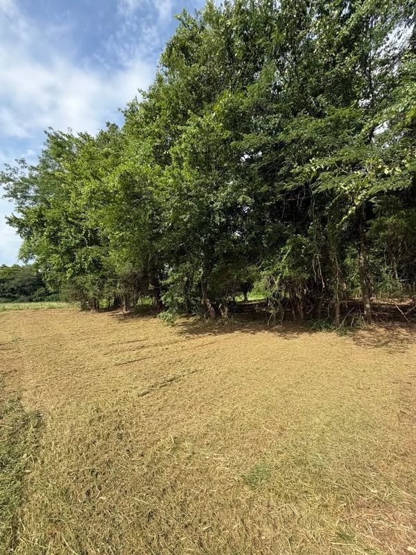 Forestry Mulching