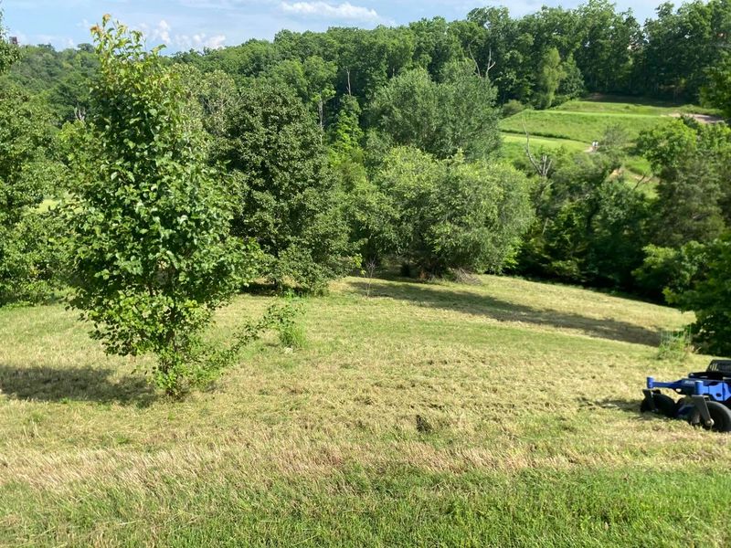 Lawn Mowing and Maintenance