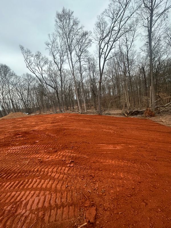 Land Clearing gallery