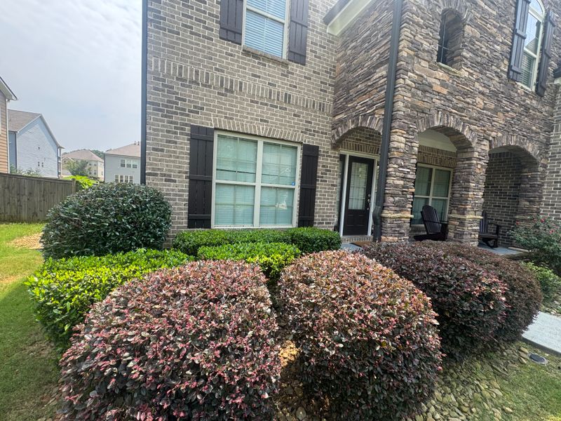 Shrub Trimming & Landscape Bed Care