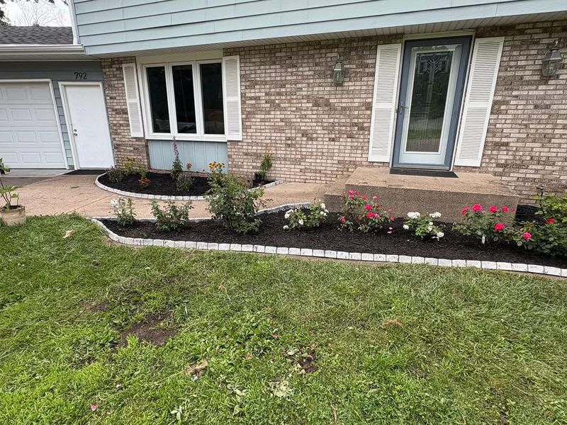 Lawn Maintenance