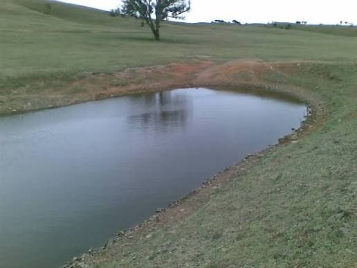 Pond Restoration