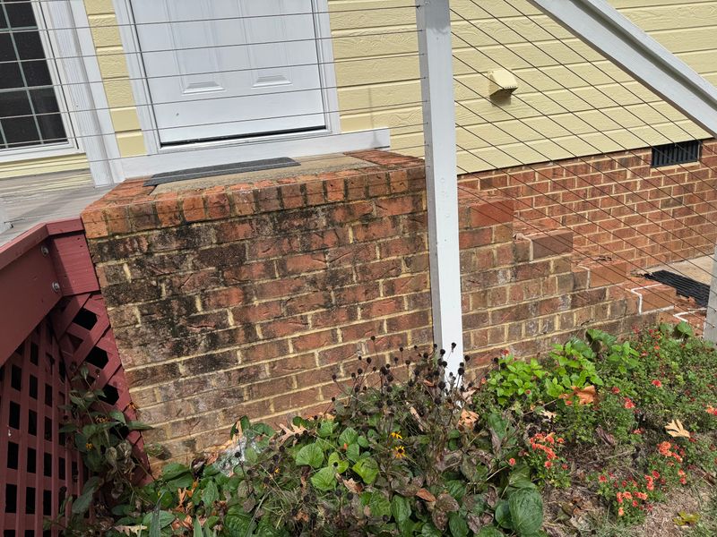 Deck and Patio Cleaning