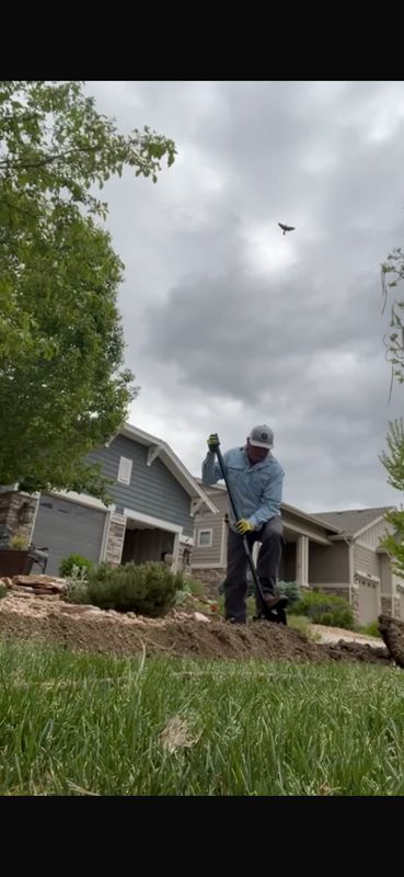Shrub Trimming