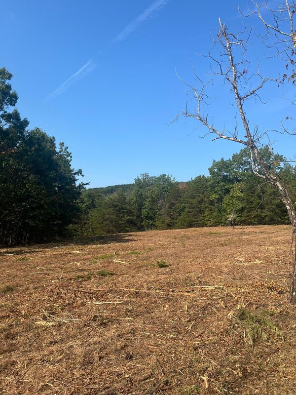 Brush cutting/clearing