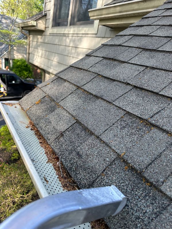 Gutter Cleaning