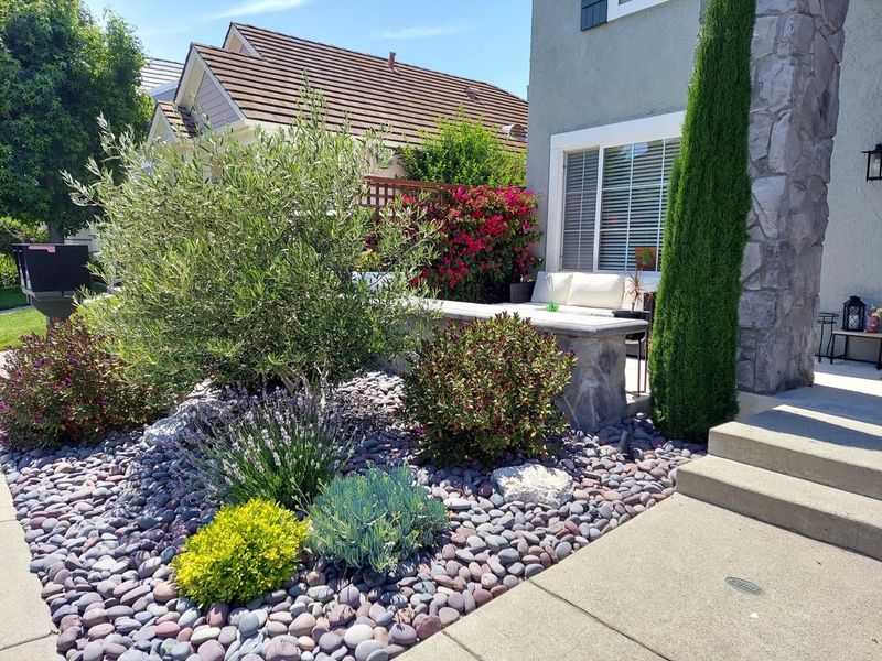 Landscape Design