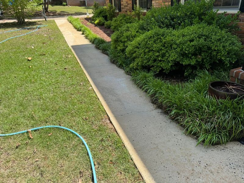 Driveway and Sidewalk Cleaning