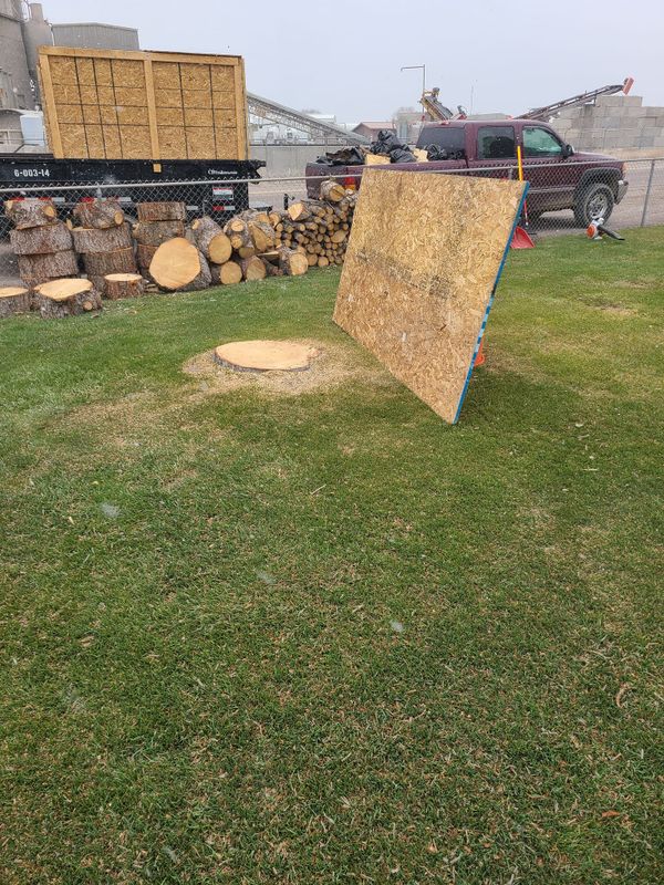 Tree Removal gallery