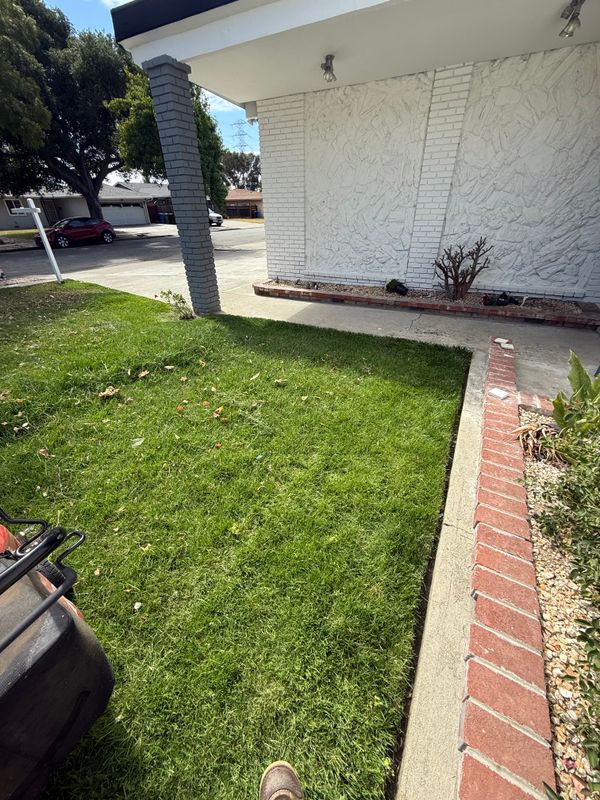 Landscaping
