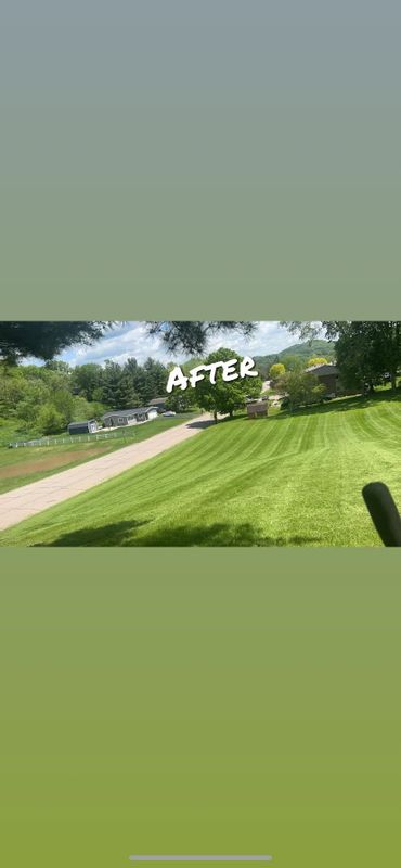 Front Yard Makeovers