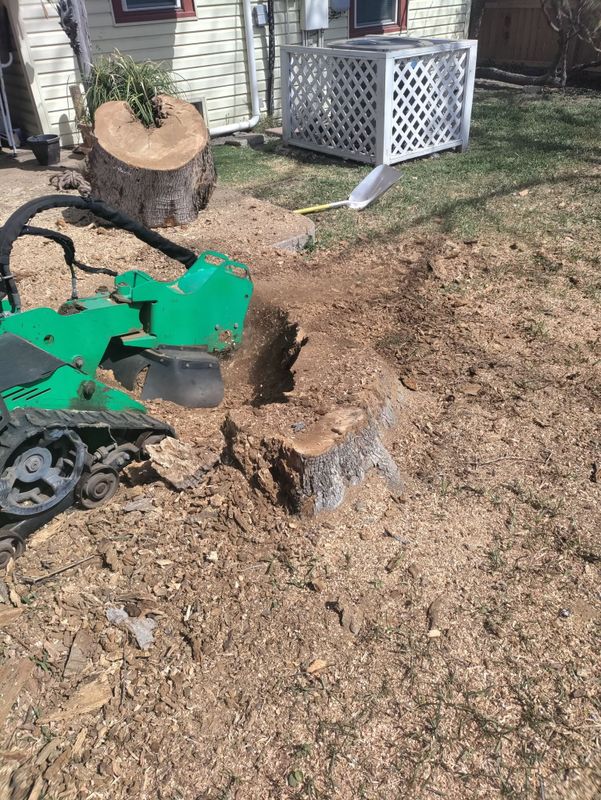 Stump Removal
