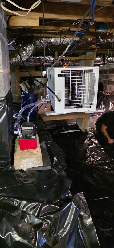 Crawlspace