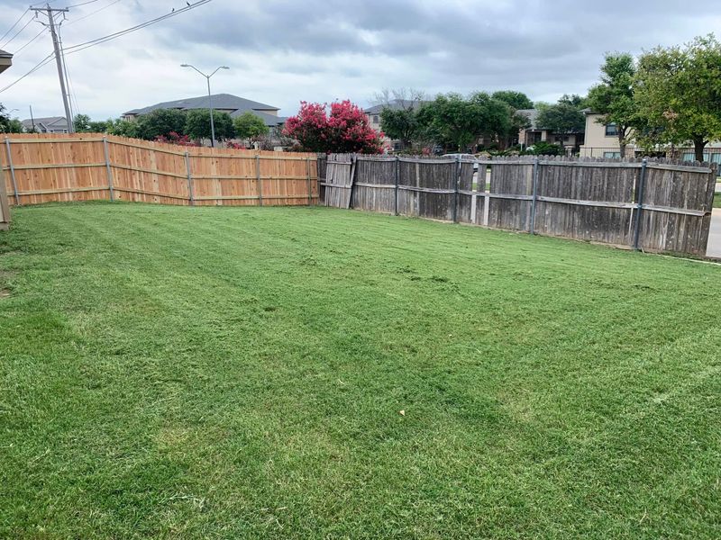 Lawn Care