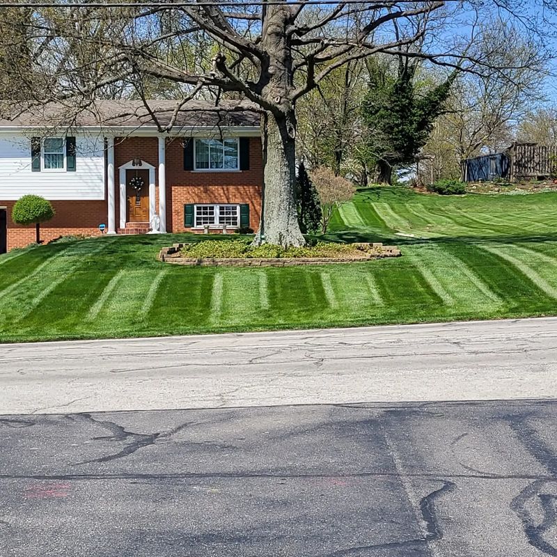 Landscaping