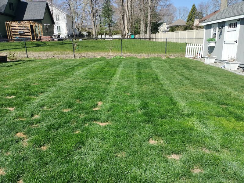 Landscaping gallery