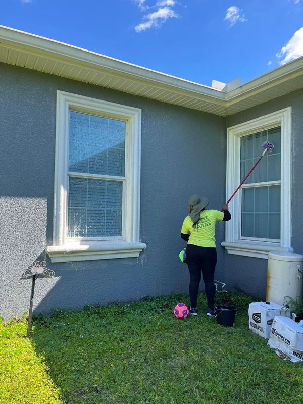 Window Cleaning