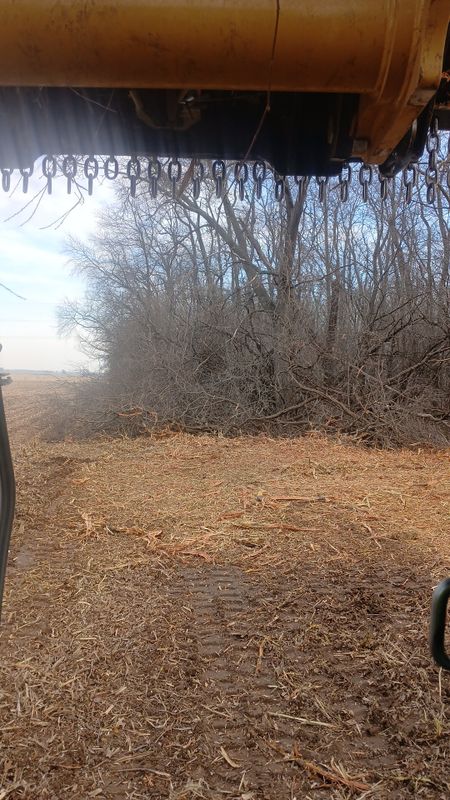 Forestry Mulching