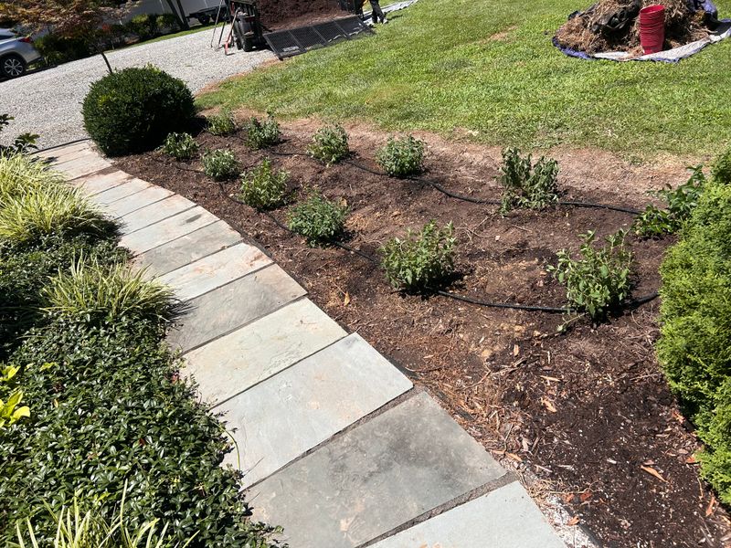 Hardscaping