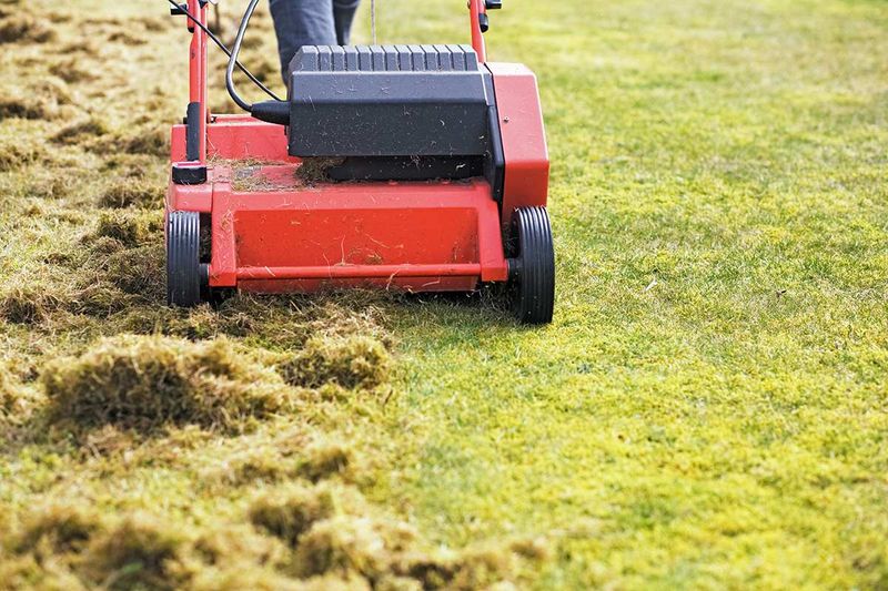 Lawn aeration
