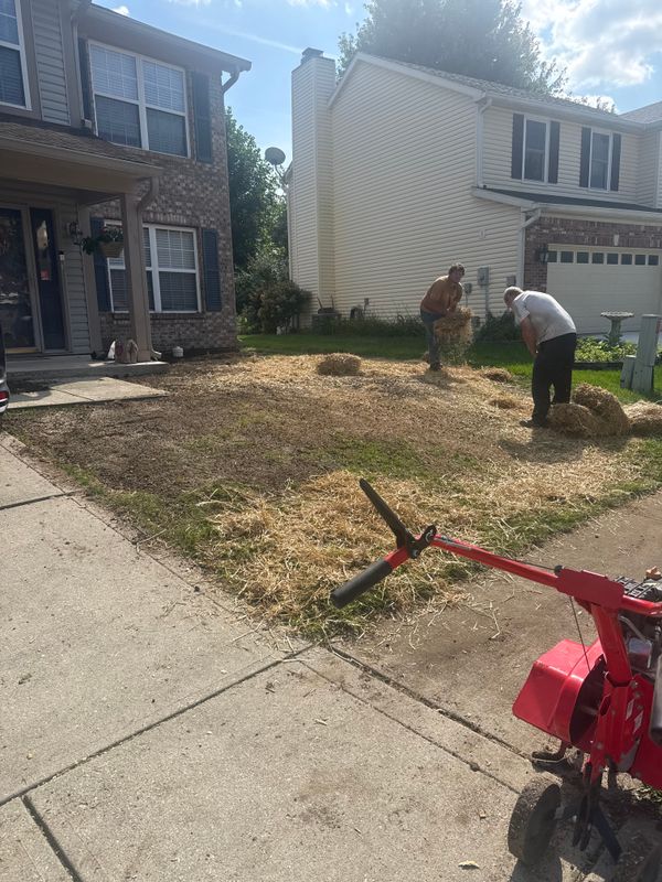 Lawn Maintenance