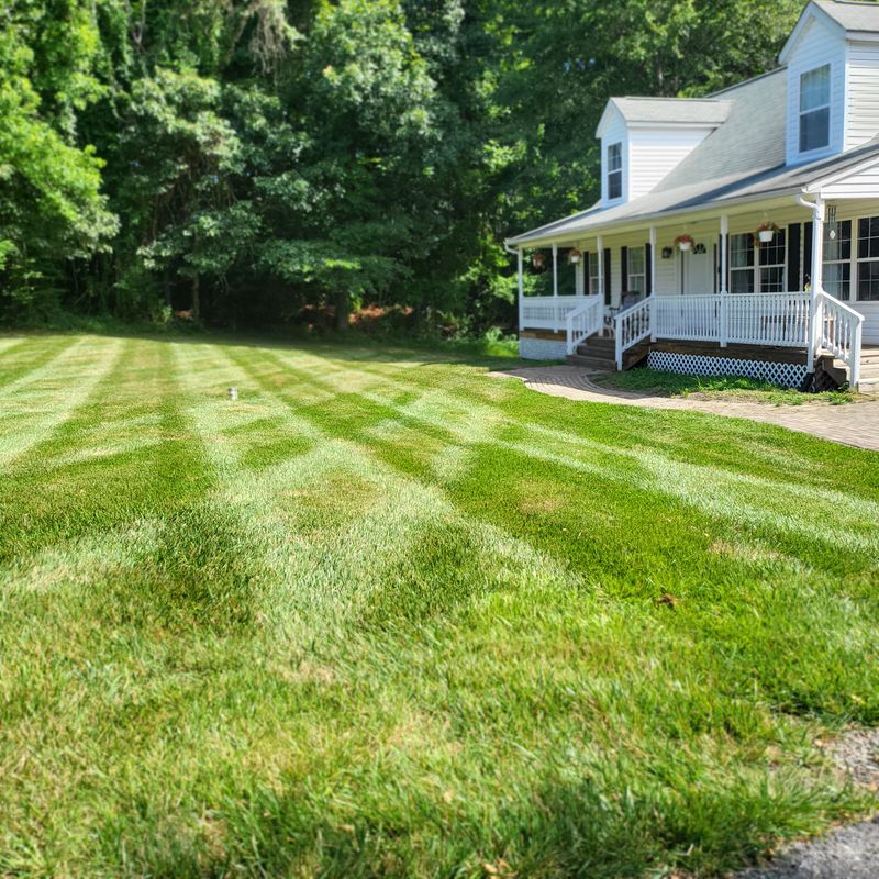 Grass Mowing