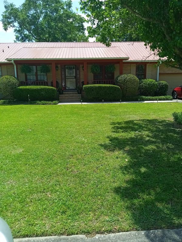 Tree & Shrub Care