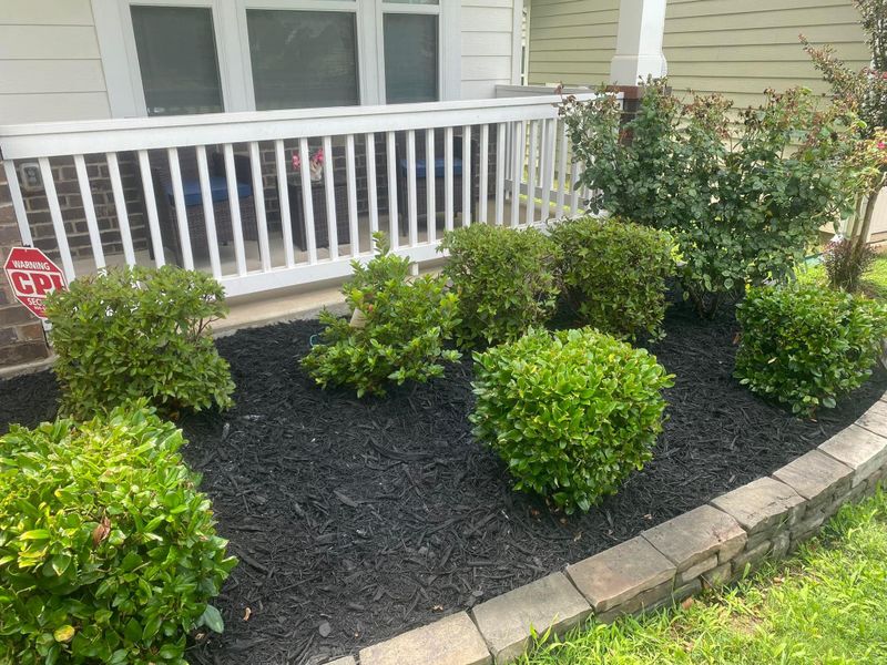 Shrub trimming 