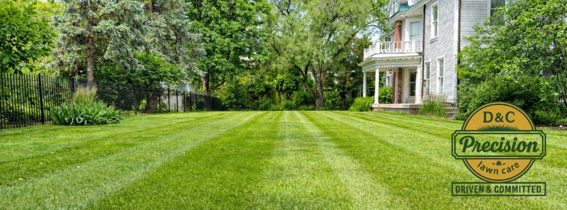 Lawn Fertilization