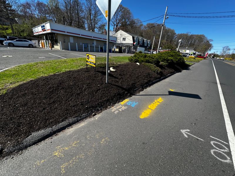 Commercial Landscape Maintenance gallery