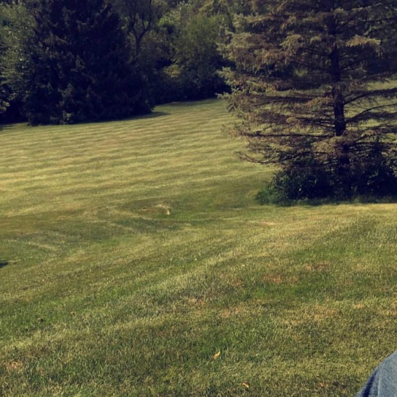Lawn Care