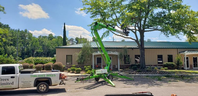 Tree Removal gallery
