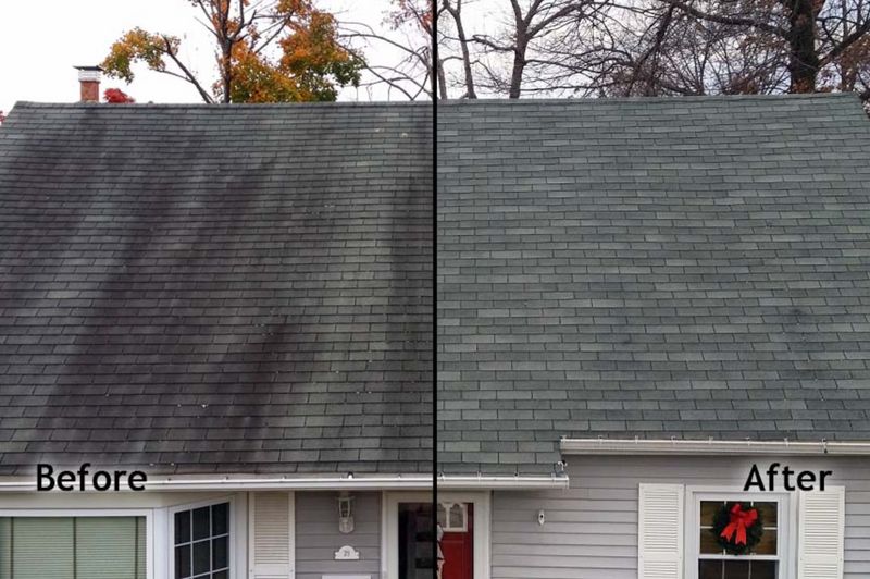 Roof Cleaning