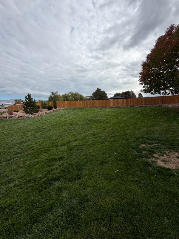 Fence Installation