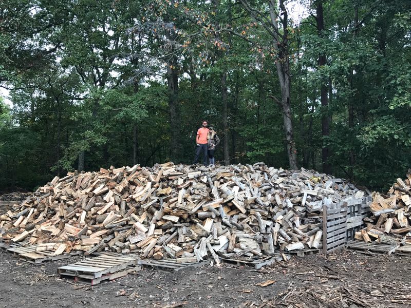 Firewood