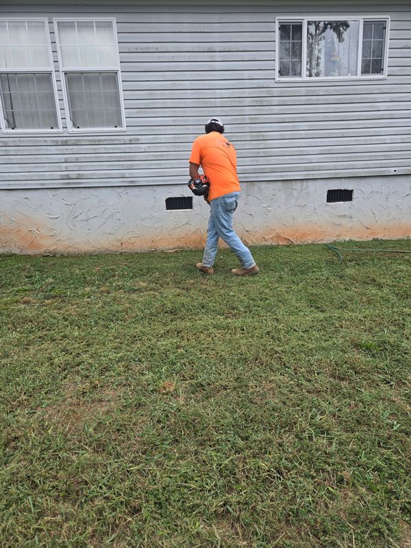 Shrub Trimming