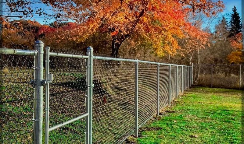 Steel Fences