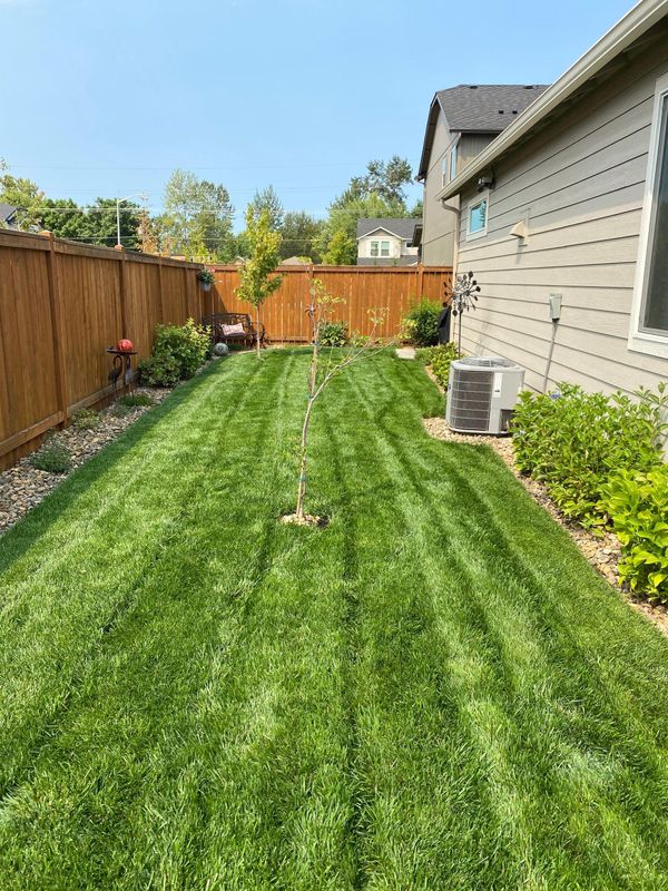 Mowing