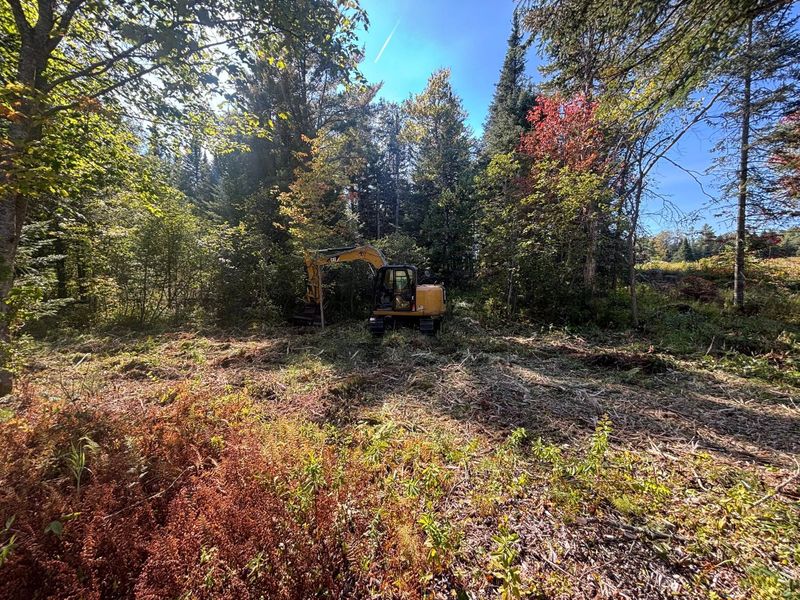 Forestry Mulching