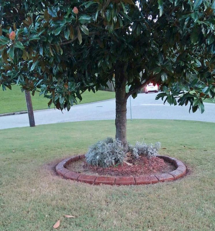 Custom Curbing gallery