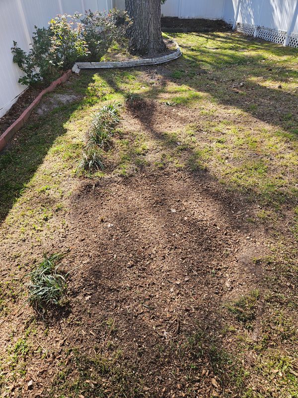 Stump Grinding