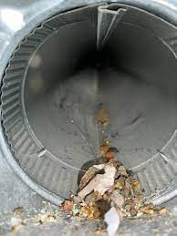 Drain Cleaning