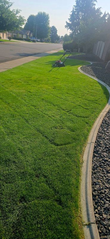 Weed Control
