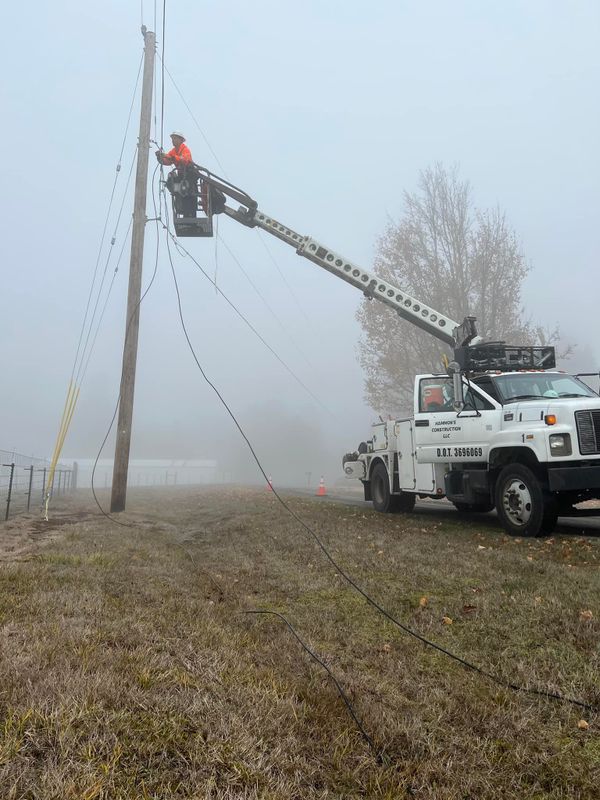 Tree Services