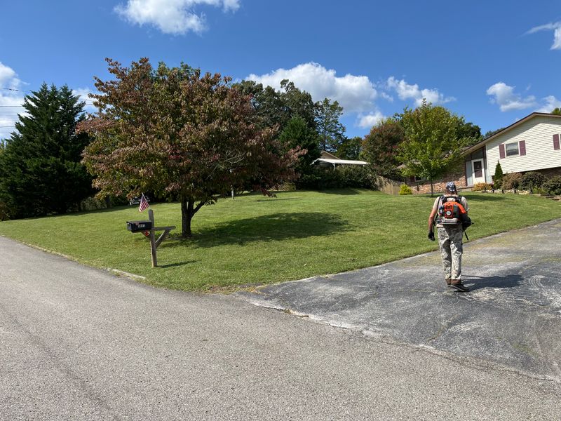 Lawn Maintenance