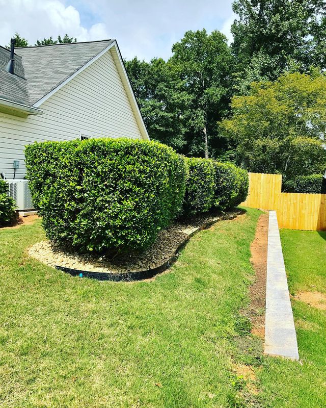 Shrub Trimming
